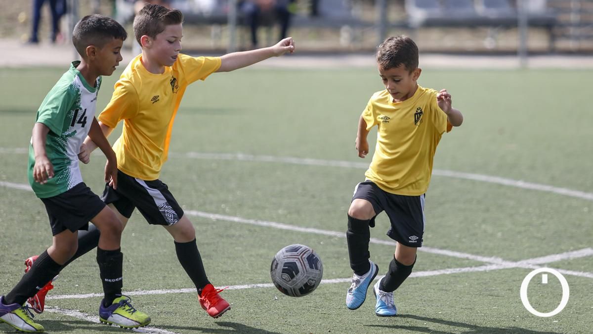Torneo Benéfico de fútbol base