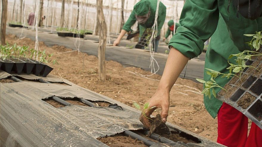 La Inspección de Trabajo obligó a transformar 9.000 contratos temporales a indefinidos: "Hay un elevado fraude"