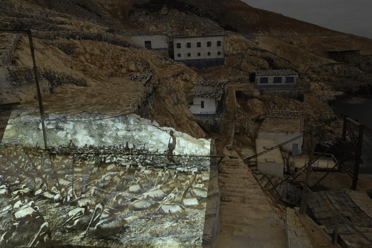 'Ghosts of Guano Islands', serie ganadora del tercer premio en la categoría 'Medio ambiente'. Unos pelícanos anidan junto a una imagen proyectada en un antiguo edificio minero en Isla Guañape (Perú)