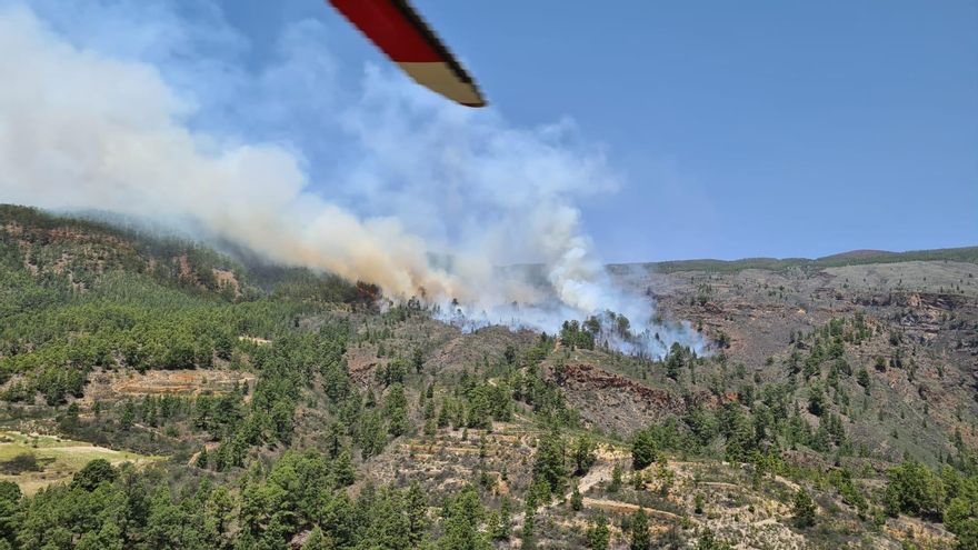 Incendio en Arico. (Foto: 112)