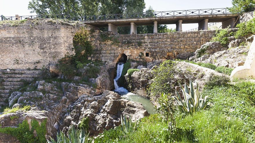 La bonita ruta por pasarelas de madera en Zaragoza que es perfecta para hacer durante una escapada de fin de semana