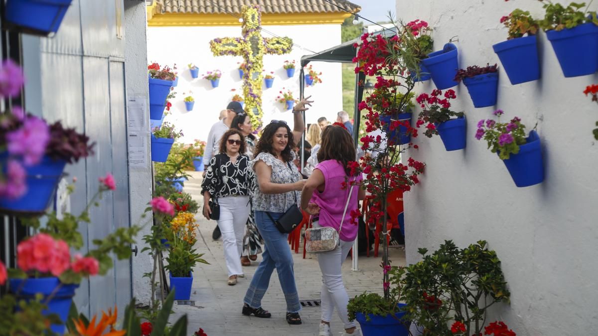 Calles en Flor 2026