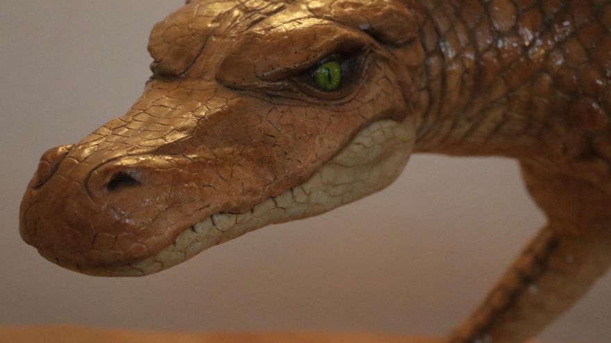 La huella de un cocodrilo del Cretácico, entre los fondos del Centro de Interpretación Paleontológica de Tamajón que abrirá en verano