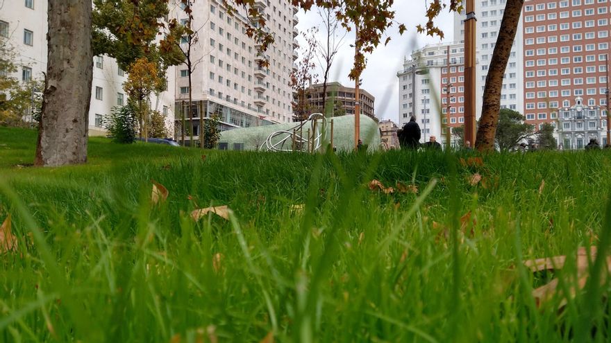 Nuevo césped en Plaza de España