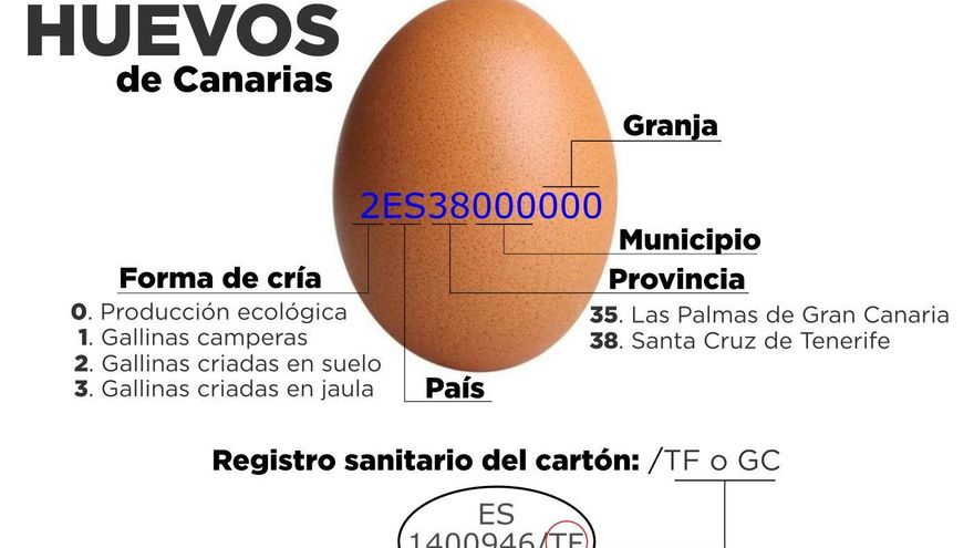 Productores canarios alertan de la venta "engañosa" de huevos foráneos etiquetados como si fueran de las Islas