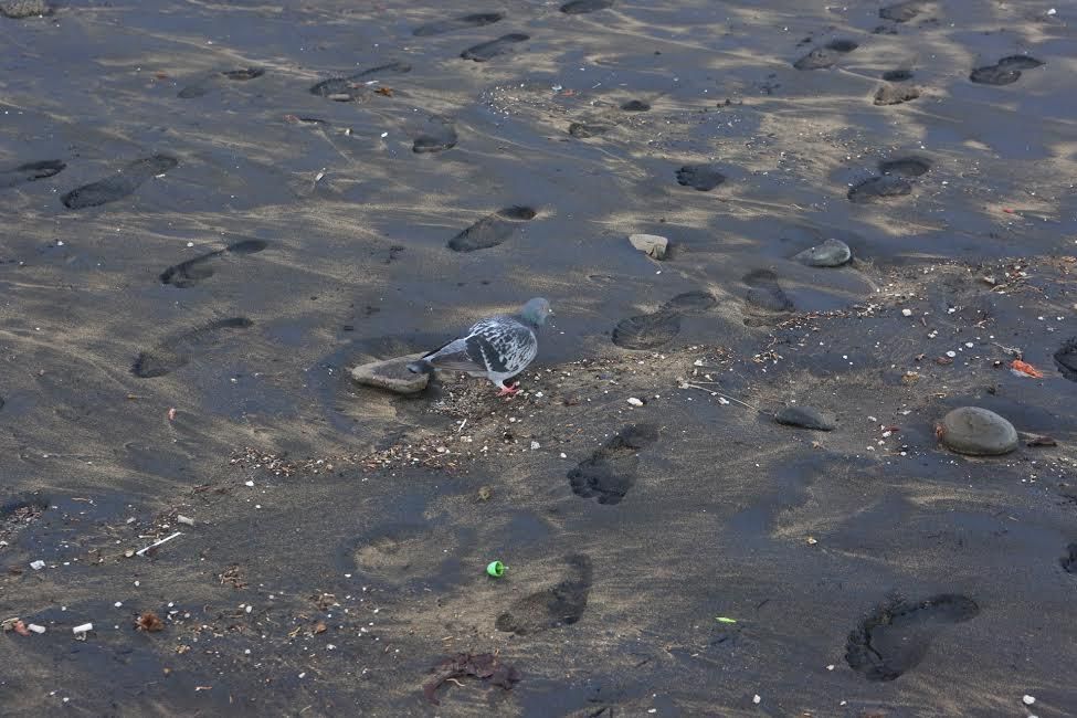 La playa de Las Canteras, tras el temporal de este martes. (ALEJANDRO RAMOS)
