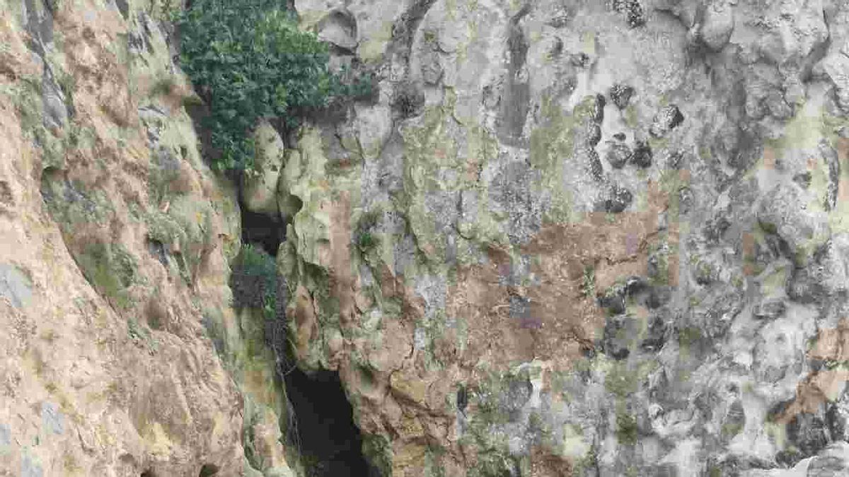 Piña exige medidas ante los vertidos de aguas fecales en verano en la playa de la Virgen del Mar