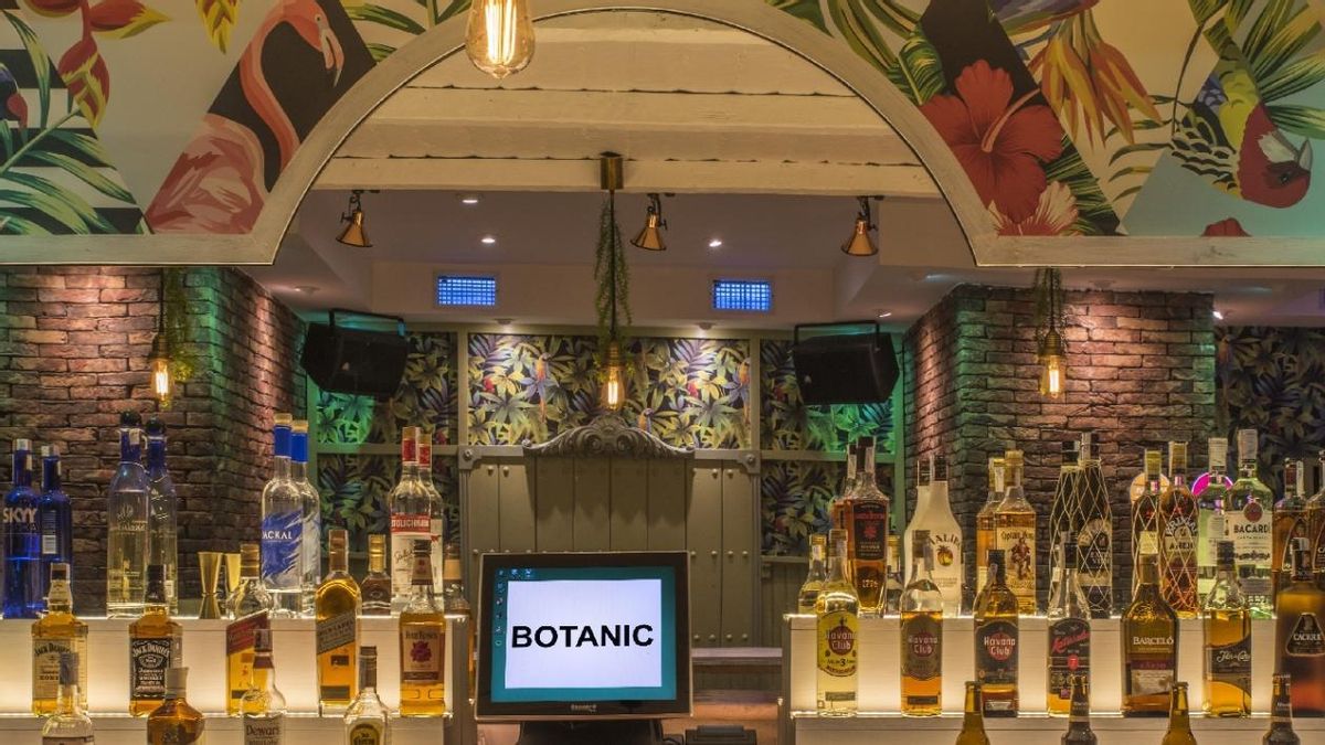 Vista del interior del bar Botanic de Vitoria