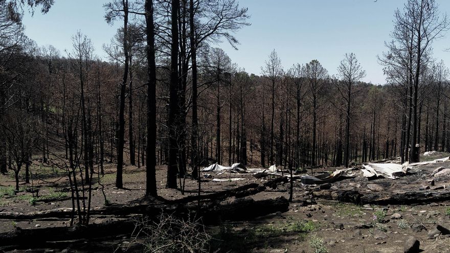Zona quemada camino a San Clemente, Córdoba