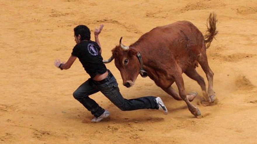 Casi 1.600 firmas piden al Ayuntamiento de Villa del Río que rectifique y no recupere la suelta de la vaquilla