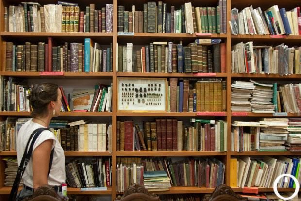 Libreria El Laberinto