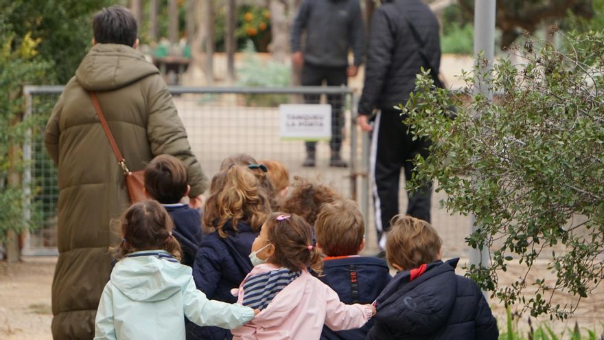 Una de las actividades organizadas por el Centro de Educación Ambiental.