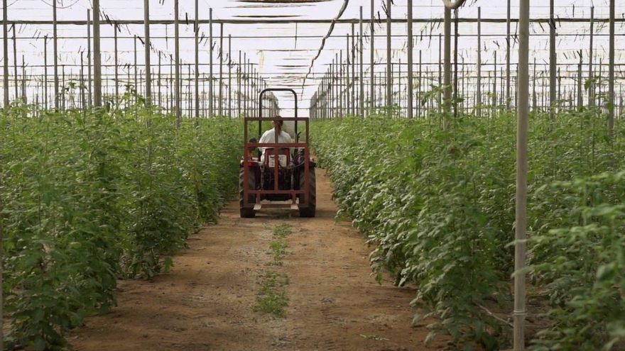 Las mujeres son titulares del 23% de las explotaciones agrarias de Aragón, pero sólo el 16% tiene a una como jefa