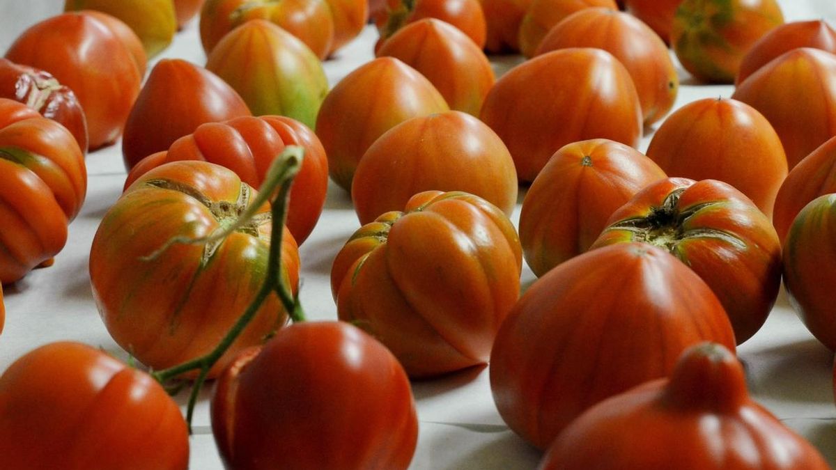 Cantabria subvencionará la compra de productos agroalimentarios perecederos para donarlos