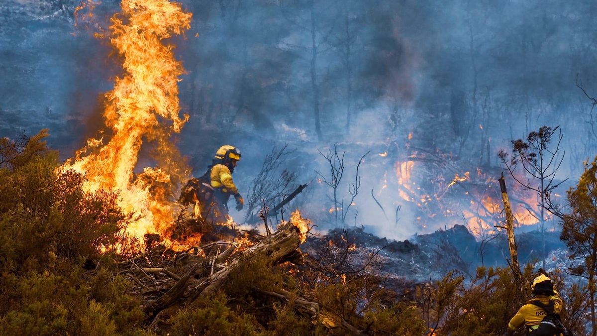 Efectivos del Infoca luchan contra el fuego en Los Guájares (Granada)