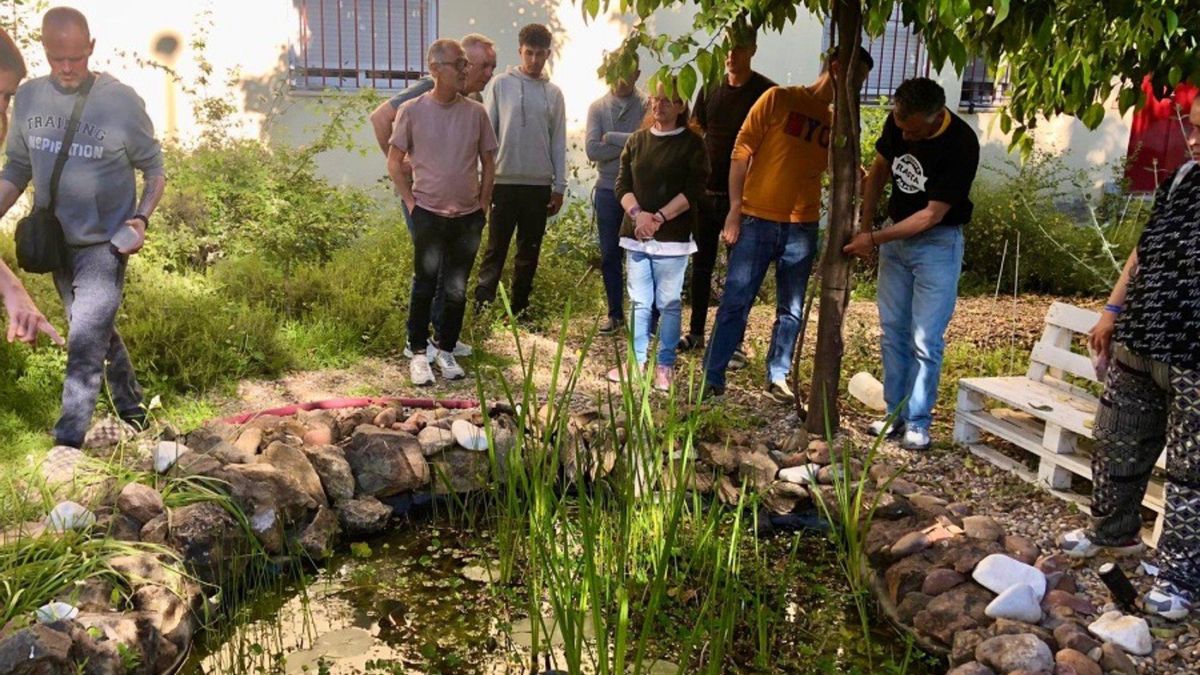 Un estudio concluye que cultivar un huerto da esperanza a personas sin hogar