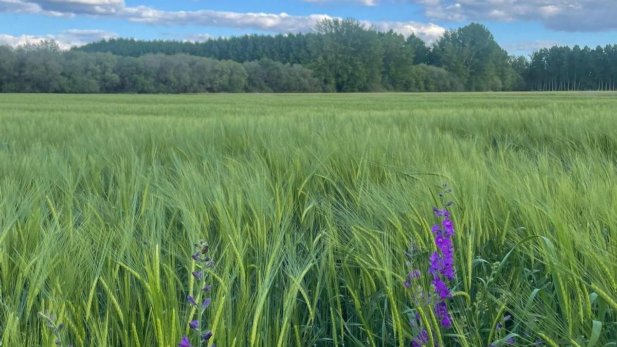 Érase una vez un mundo del revés