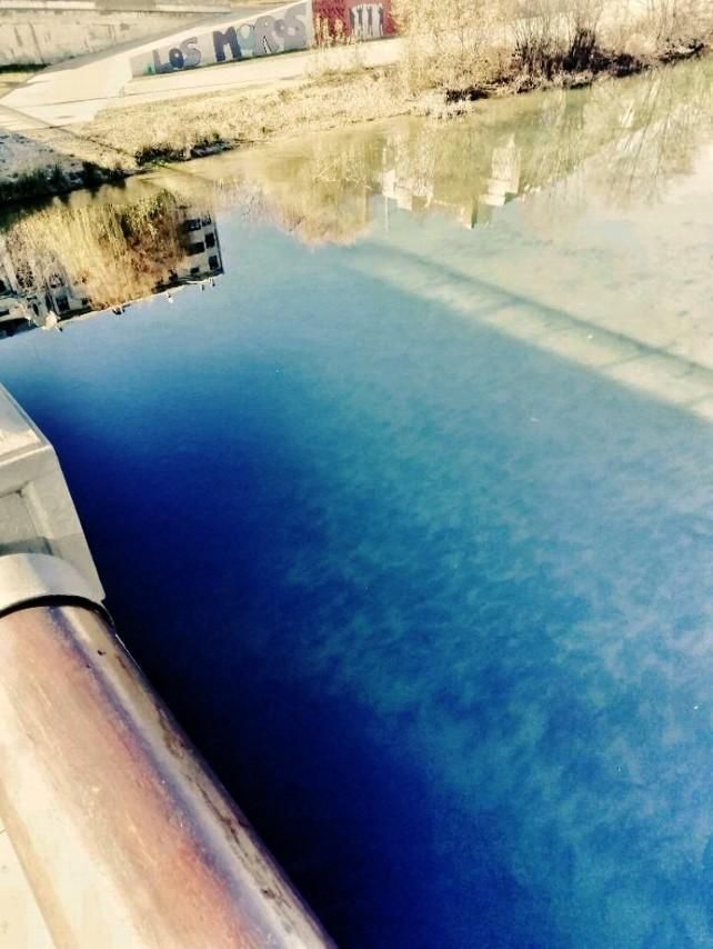 El fondo y la sombra esconde cientos, miles de ejemplares.