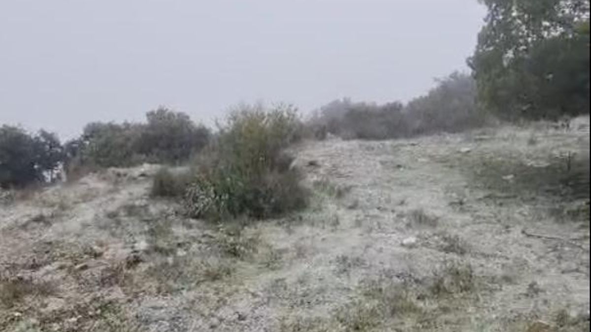 El invierno llega a Córdoba con una nevada en la Sierra de Cabra