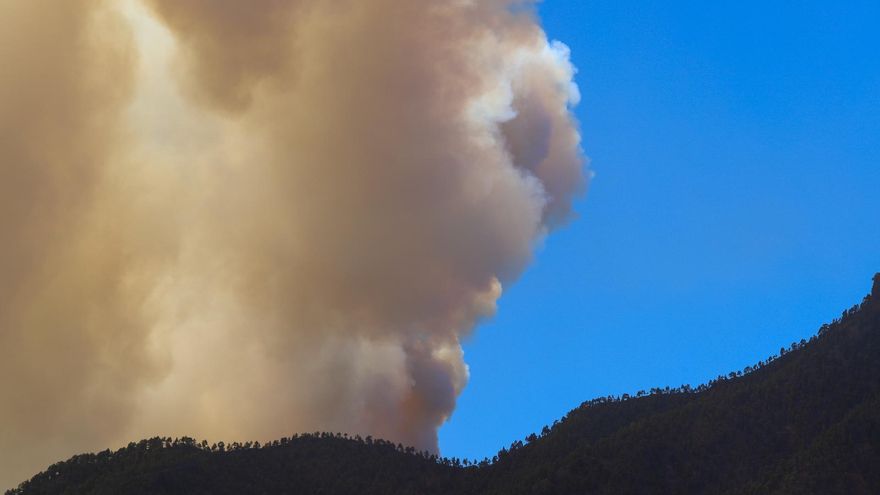 Vista desde el municipio de Los Llanos de Aridane de la columna de humo del incendio forestal declarado en Puntagorda en la madrugada de este sábado en la isla de La Palma