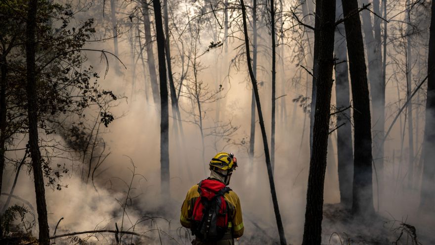 Galicia acumula más de 42.000 hectáreas arrasadas por incendios en el último mes