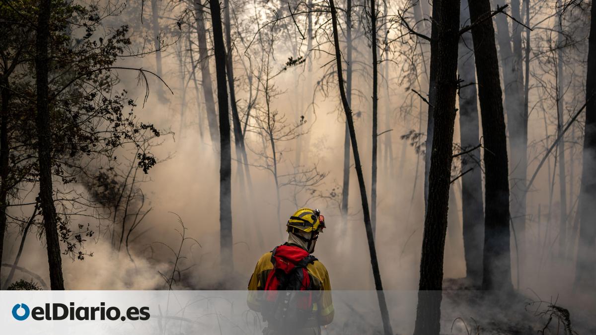 Galicia acumula más de 42.000 hectáreas arrasadas por incendios en el ...