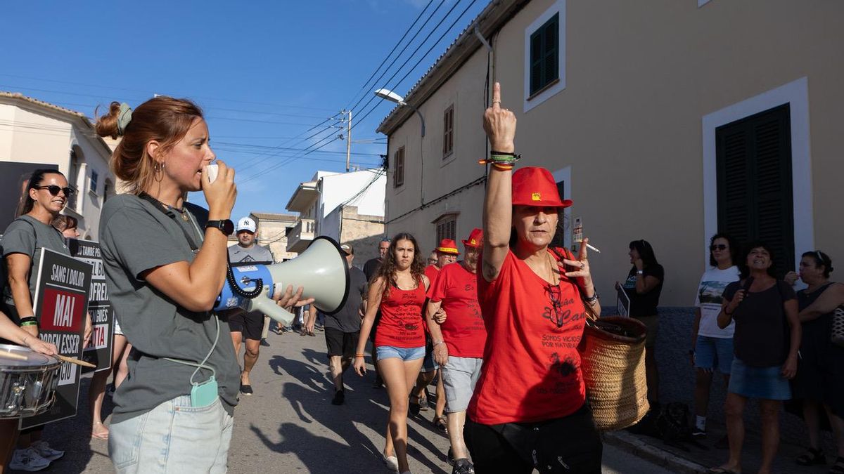 Peineta de una taurina dedicada a los animalistas que protestaban a pocos metros de la plaza.