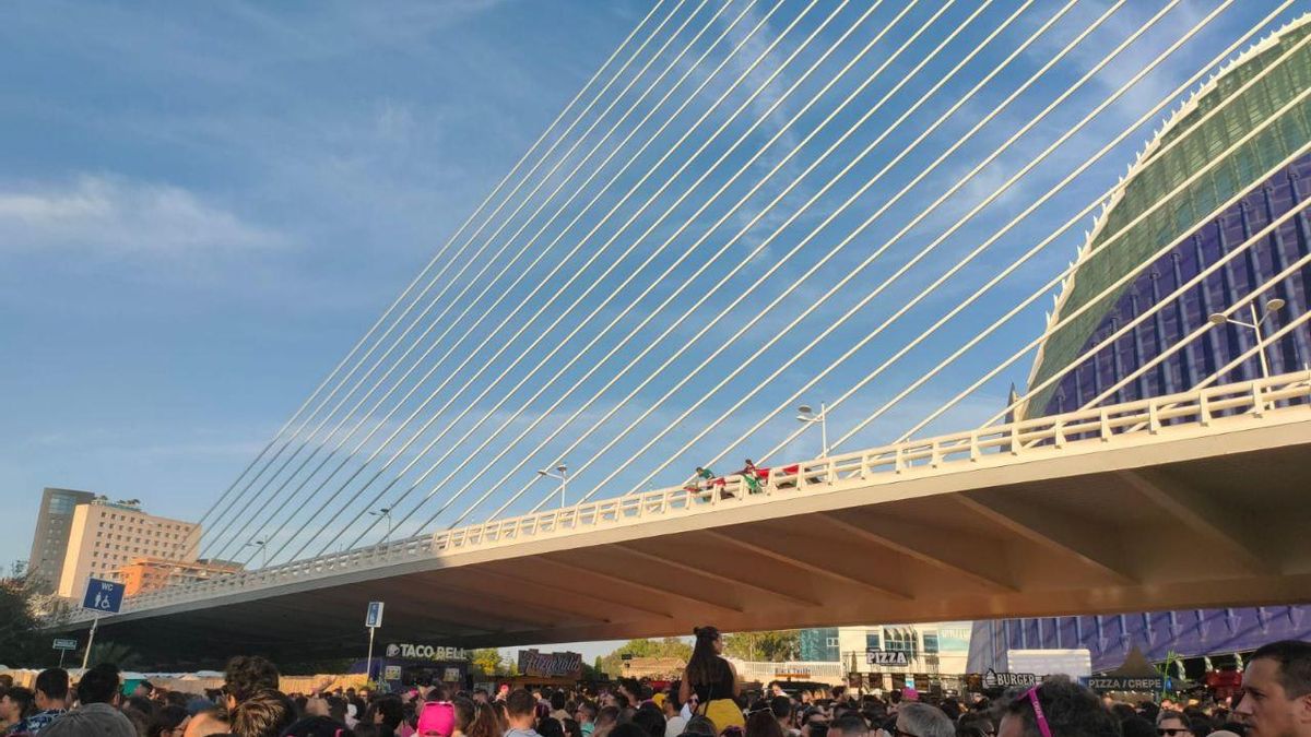 Banderas de Palestina en el Pont de l'Assut de l'Or, junto al Festival de Les Arts, este sábado en València.