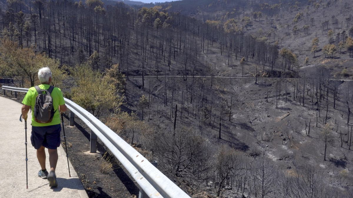 El incendio de Ávila baja a nivel uno tras 15 días en máximo riesgo