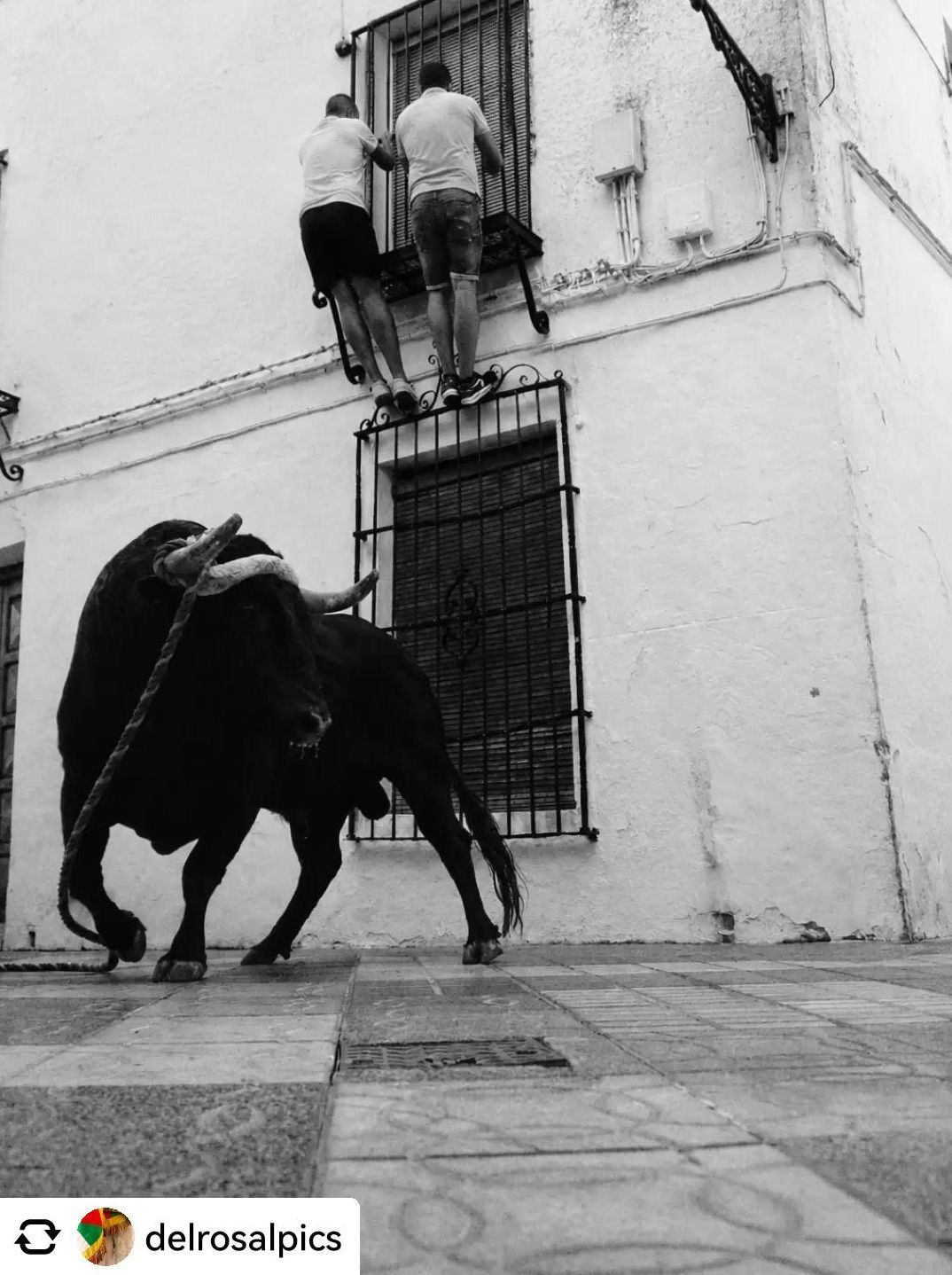 Accesit Montilla para esta fotografía de #delrosalpics realizada en las fiestas de Carcabuey