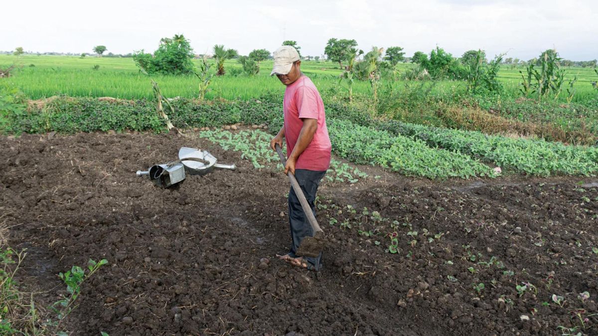 Fijan nuevos salarios mínimos para 11 actividades agrarias con vigencia hasta 2026