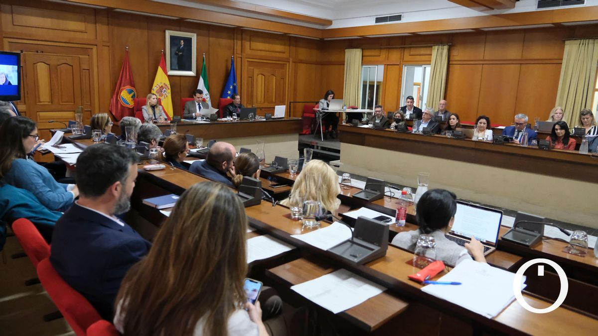 Pleno del Ayuntamiento de Córdoba