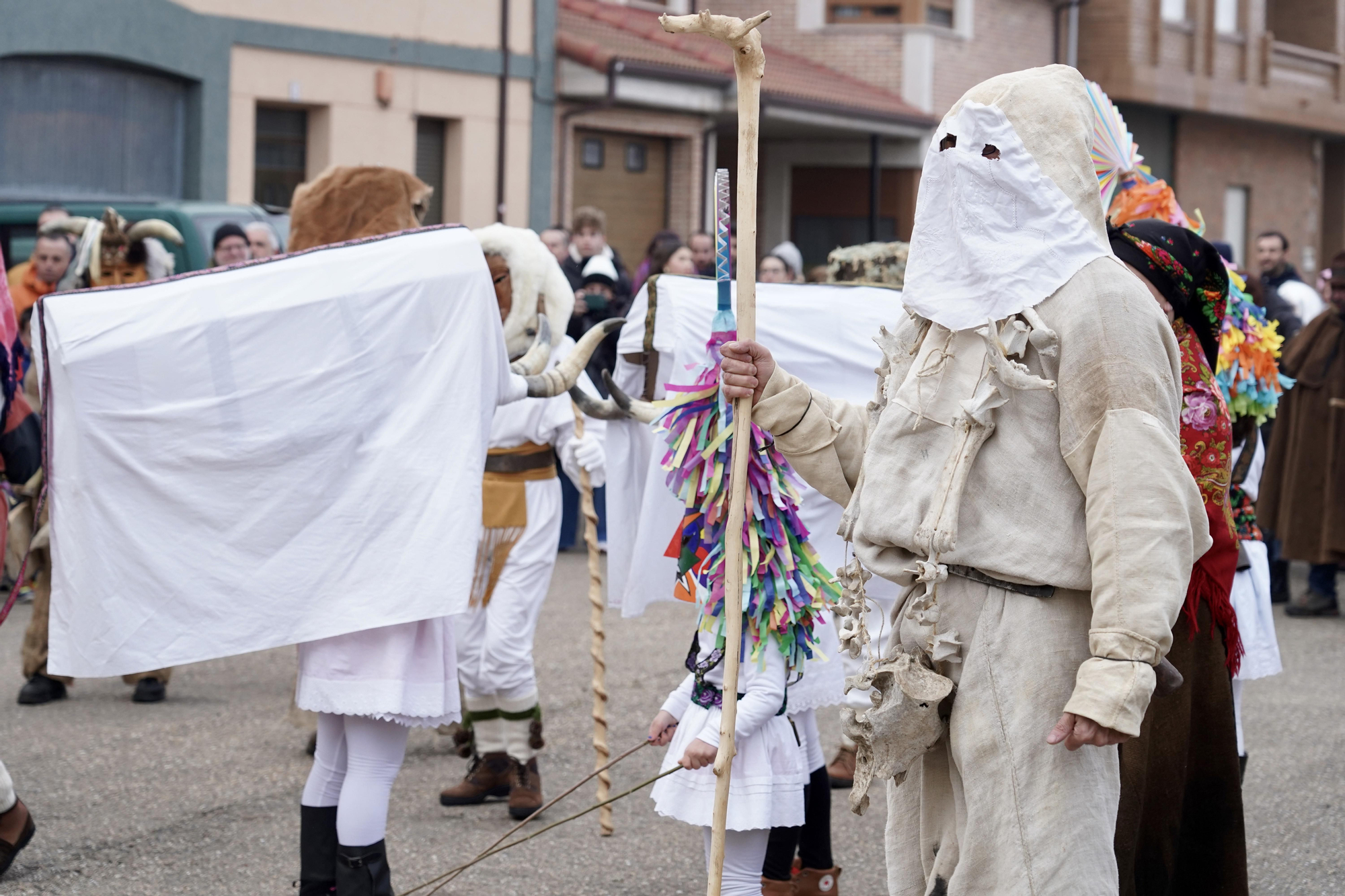 Toros y guirrios del antruejo en Velilla de la Reina