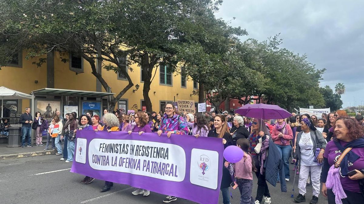 El Gobierno de Canarias y Julio Iglesias, entre los antipremios "estropajo" de la Red Feminista de Gran Canaria