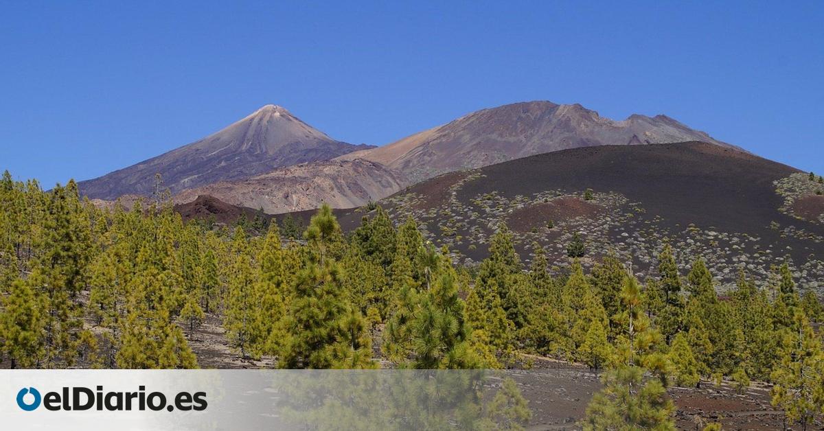IUC presenta alegaciones a la Ley canaria de Montes para  blindarlos frente a la especulación 