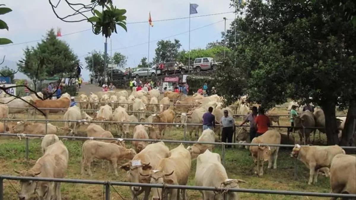 Imagen de archivo de la Feria Ganadera de San Isidro. Foto: LUZ RODRÍGUEZ.