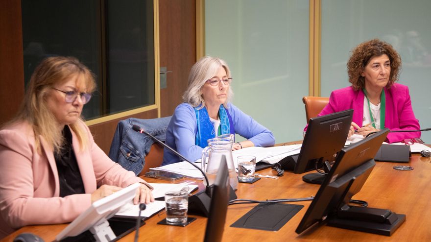 El Gobierno vasco afirma que Osalan e Inspección actuaron "en cuanto conocieron" el incidente con amianto en CAF Beasain