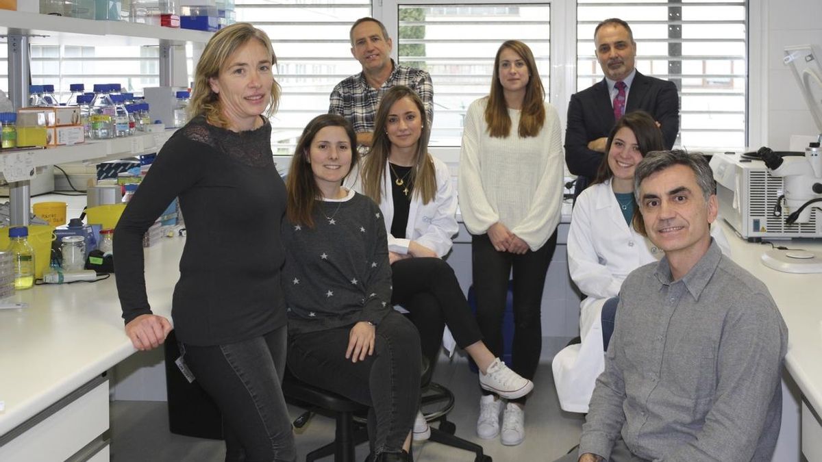 Valdecilla e IDIVAL estudian alteraciones celulares de carcinomas de piel, boca y garganta