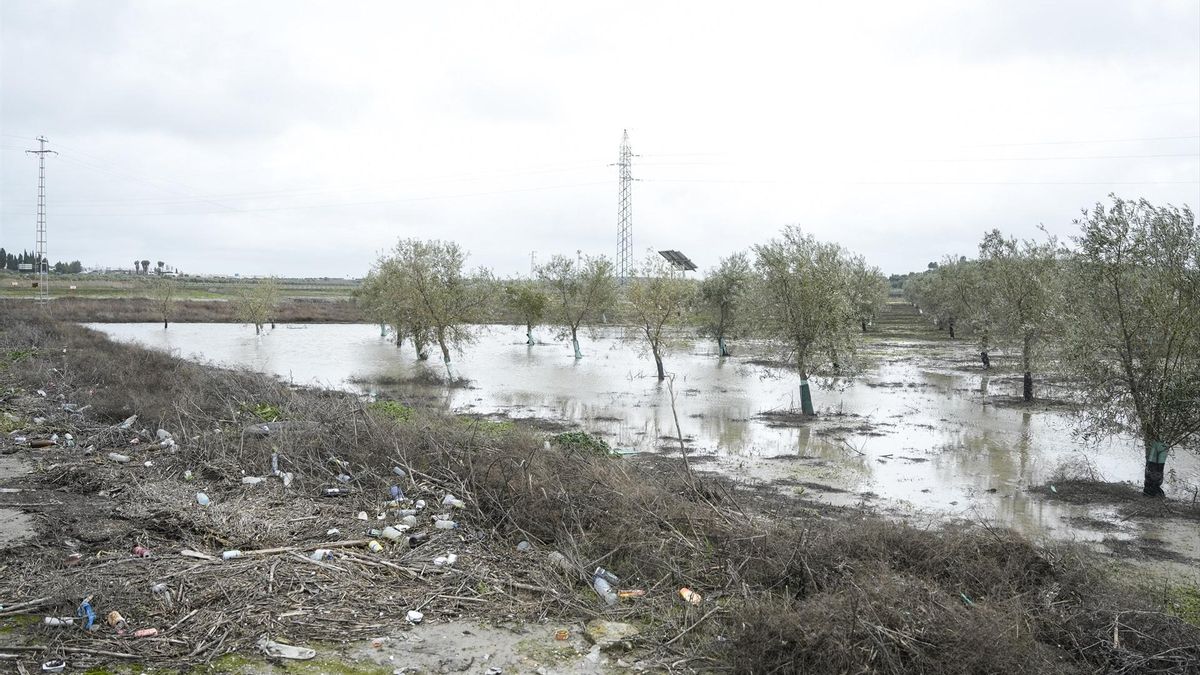 Las fuertes lluvias dejarán una semana de vigilancia de los ríos sevillanos