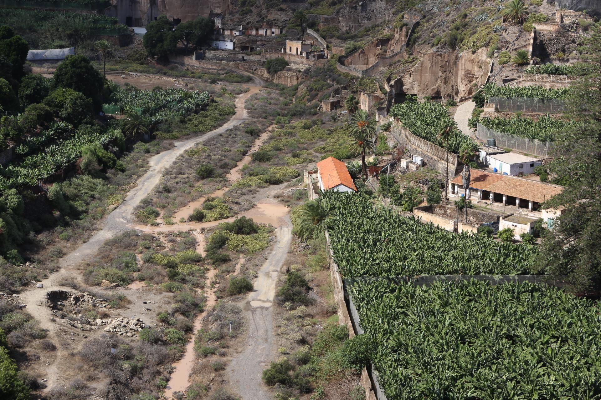 Barranco del Guiniguada (ALEJANDRO RAMOS)