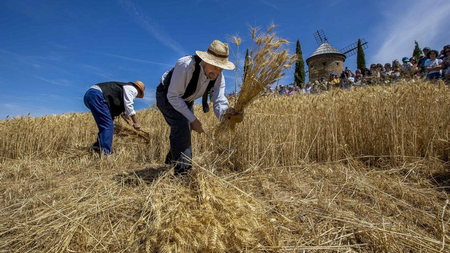 Más de dos mil personas asisten a una demostración del trabajo cerealista de antaño