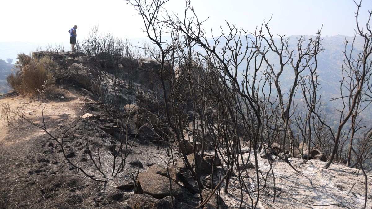 Castilla y León da por extinguido el incendio forestal de Fermoselle, en Zamora tras calcinar unas 11.150 hectáreas