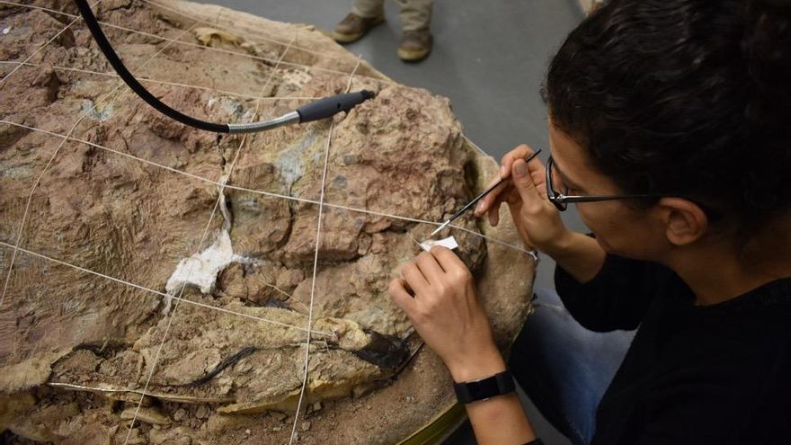 Los dinosaurios anidaban cerca de los ríos hace 150 millones de años