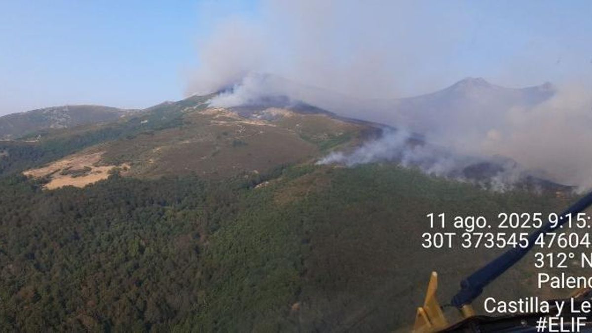 Imagen del incendio de la Montaña Palentina.
