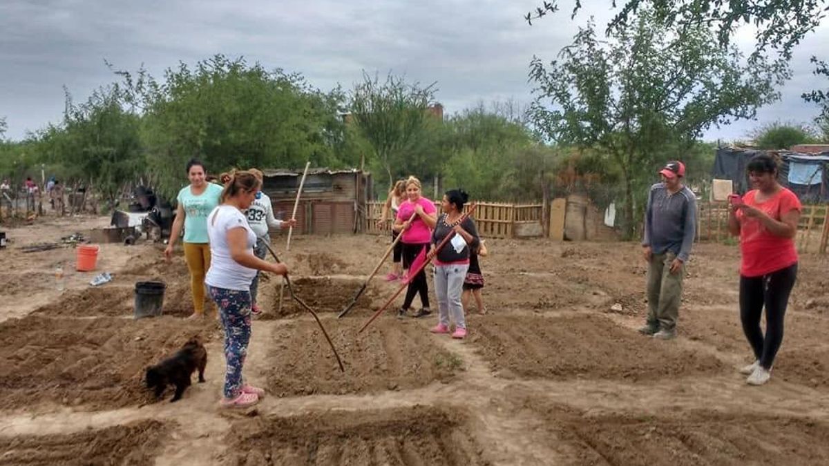 La Coordinación Nacional del Movimiento Nacional Campesino Indígena en Argentina señala impactos en la seguridad alimentaria de las comunidades debido al fenómeno. Foto: cortesía Mocase