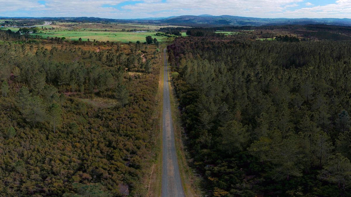 Vista aérea en la zona próxima a la finca Quintas, (al fondo), zona donde se quiere instalar la celulosa Altri, en Palas de Rei (Lugo)