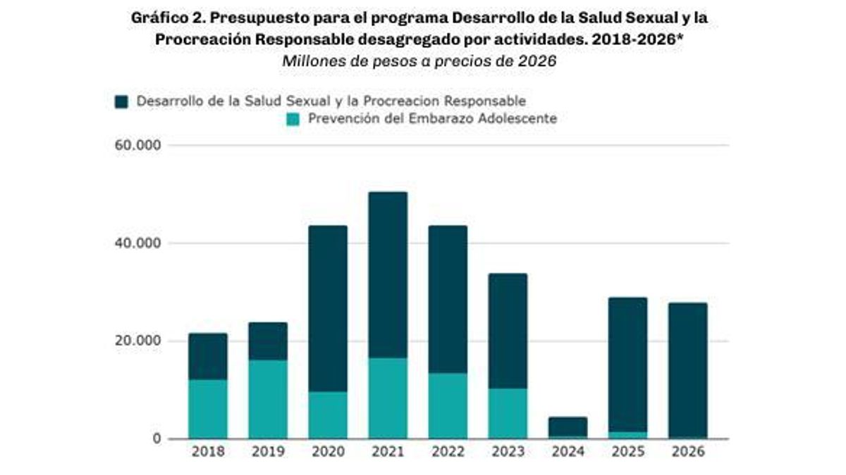 Fuente: ACIJ y ELA en base al Ministerio de Economía y Proyecto de Presupuesto 2026. *Hasta 2024 se utilizó el crédito devengado, para 2025 el crédito vigente al 15/9/2025 y para 2026 la proyección de gasto incluida en el Proyecto de Presupuesto 2026.