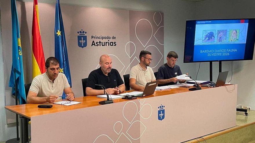 El Gobierno de Asturias sube hasta un 27% las indemnizaciones por daños al ganado en plena polémica por la caza de lobos