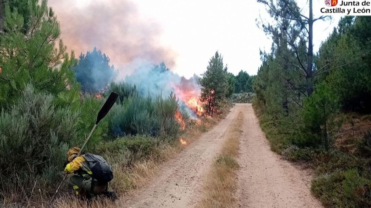 Trabajos de extinción en el incendio forestal de Porqueros.