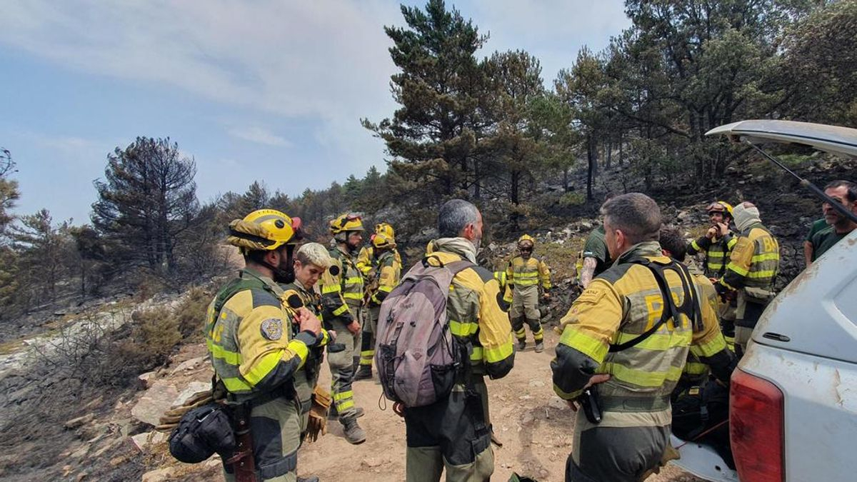 El 95% de las hectáreas que ha quemado el incendio de La Mierla están en parque natural